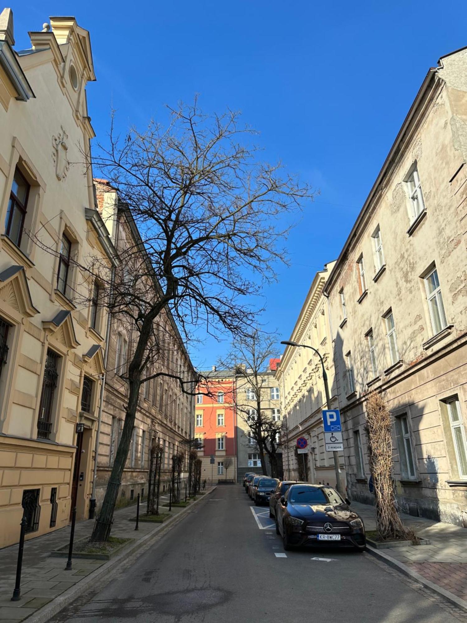 Perfect Place To Stay In Krakow City Center 40M2 W4 Bagian luar foto